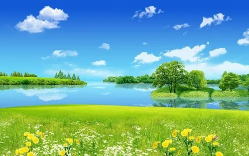 自动化高效精密